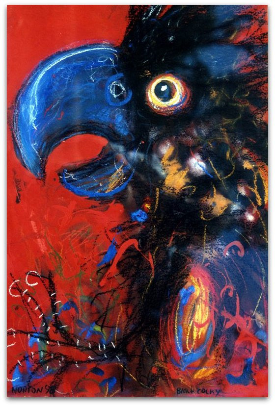 Black Cocky