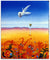 Desert Garden