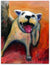 Crying Cat