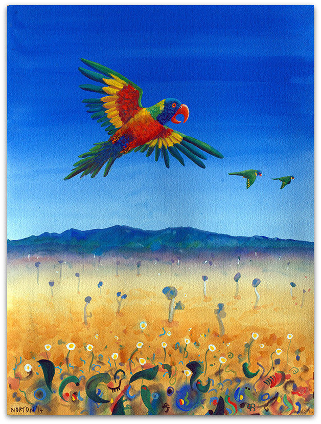 Lorikeets - Helen Norton Art