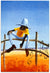 Man on Fence