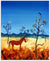 One Brumby