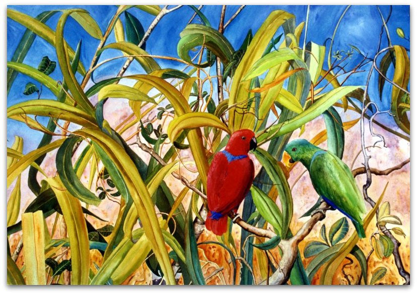 Eclectus Parrots