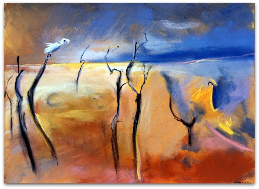 White Cockatoo Black Trees